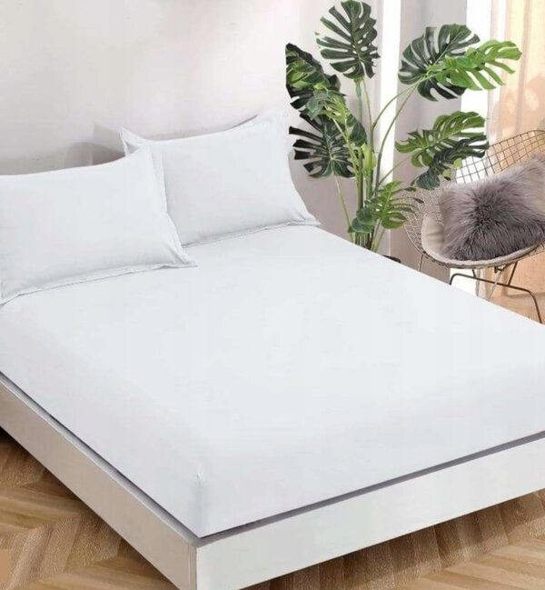 a1beeb302d21280d73869c2dfe9c88b3